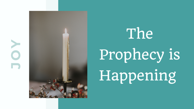 The Prophecy is Happening (Joy)